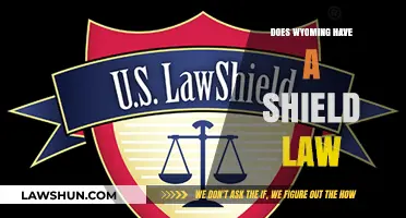 Exploring Legal Protections: Wyoming's Stance on Shield Laws
