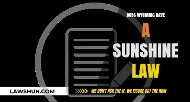 Unveiling Wyoming's Public Records: A Guide to the Sunshine Law