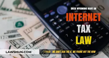Wyoming's Internet Tax Law: What You Need to Know