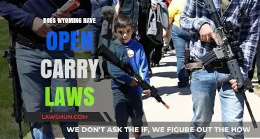 Wyoming's Open Carry Laws: Understanding Your Rights and Regulations
