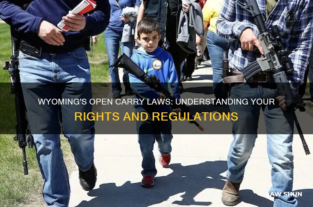 does wyoming have open carry laws