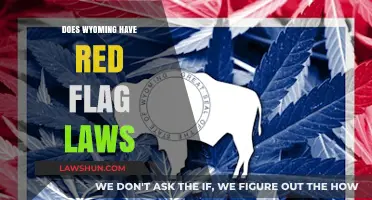 Exploring Wyoming's Stance on Red Flag Laws: A Comprehensive Overview