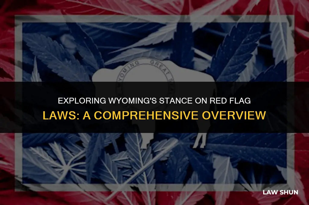 does wyoming have red flag laws
