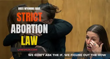 Wyoming's Abortion Laws: Strict or Lenient?