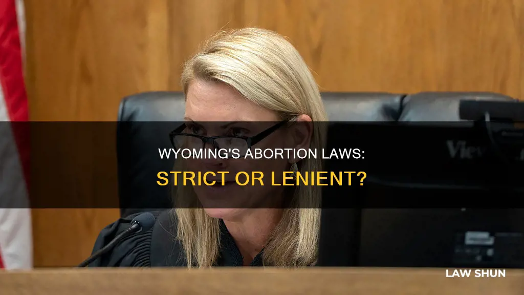 does wyoming have strict abortion law