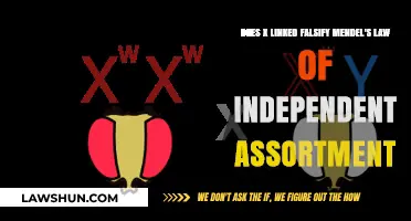 X-Linked Traits: Challenging Mendel's Law of Independent Assortment?