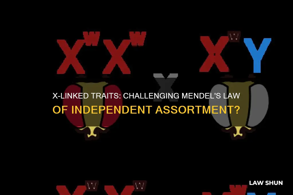 does x linked falsify mendel