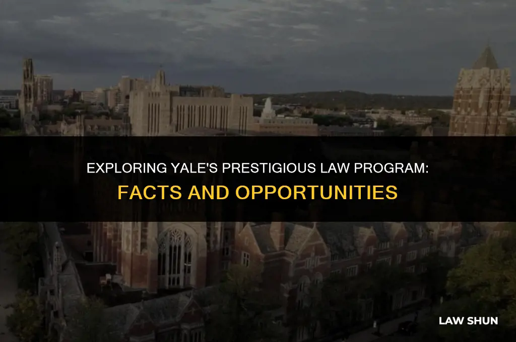 does yale have a law program