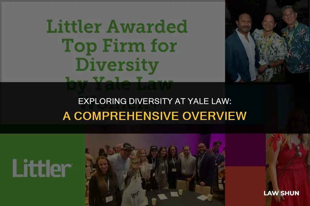 does yale law have a diversity