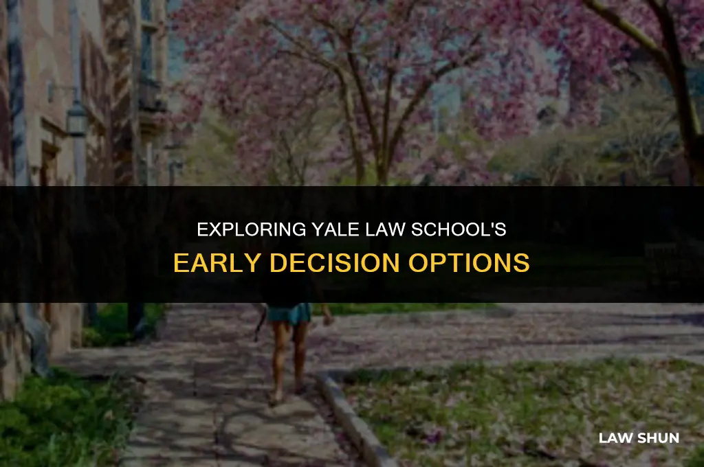 does yale law have early decision