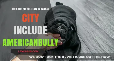 Kansas City Pit Bull Law: Does It Include American Bully?