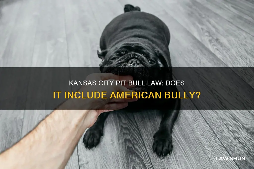 does yhe pit bull law in kansas city include americanbully