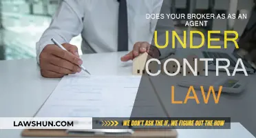 Understanding Your Broker's Legal Standing as an Agent