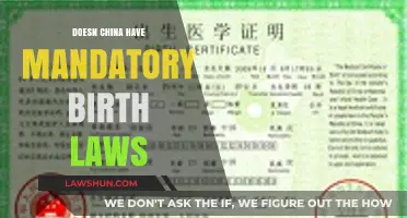 Exploring China's Population Policies: Mandatory Birth Laws?