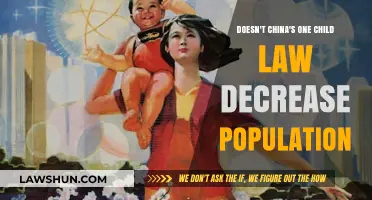 China's One-Child Policy: Did It Effectively Reduce Population Growth?