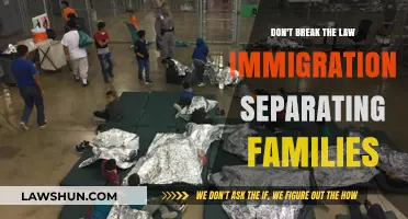 The Human Cost of Unfair Immigration Policies: Separating Families