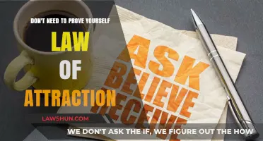 Stop Proving, Start Believing: Embrace the Law of Attraction Effortlessly