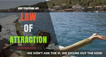 Embrace Joy Now: Unlock the Law of Attraction's Power Today
