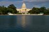 federal