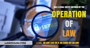 Understanding Legal Entities Formed by Operation of Law: Key Insights