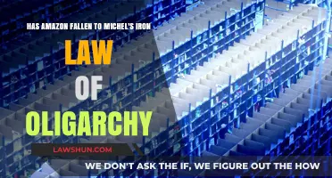 Amazon's Oligarchic Shift: Michel's Iron Law in Action?