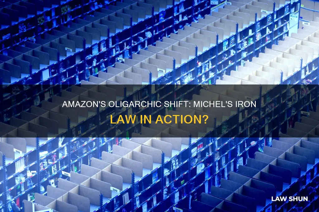 has amazon fallen to michel