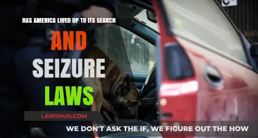 America's Search and Seizure Laws: Upholding Constitutional Rights or Falling Short?
