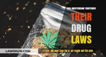 Amsterdam's Evolving Drug Laws: A Closer Look at Recent Changes