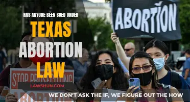 Texas Abortion Law: Who's Been Sued and Why?