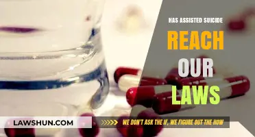 Has Assisted Suicide Reached Our Laws: A Comprehensive Overview
