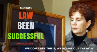 Evaluating the Impact and Success of Casey's Law