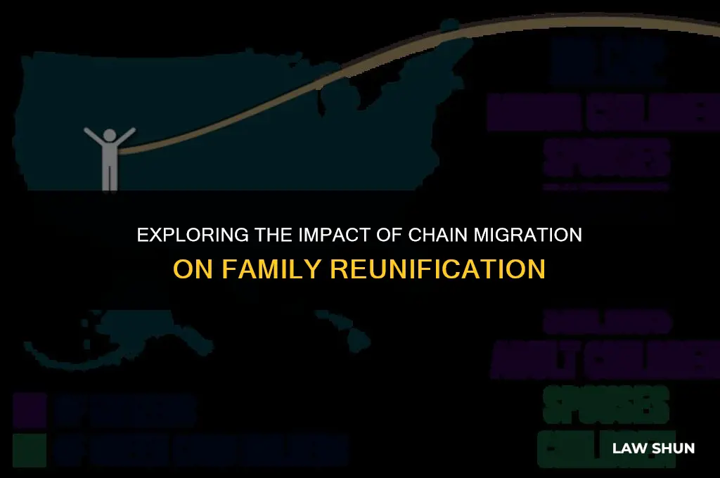 has chain migration allowed in-laws