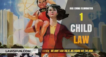 China's One-Child Policy: Has It Been Fully Abolished?