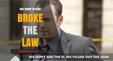 Has Danny Reagan Broken the Law? A Legal Analysis
