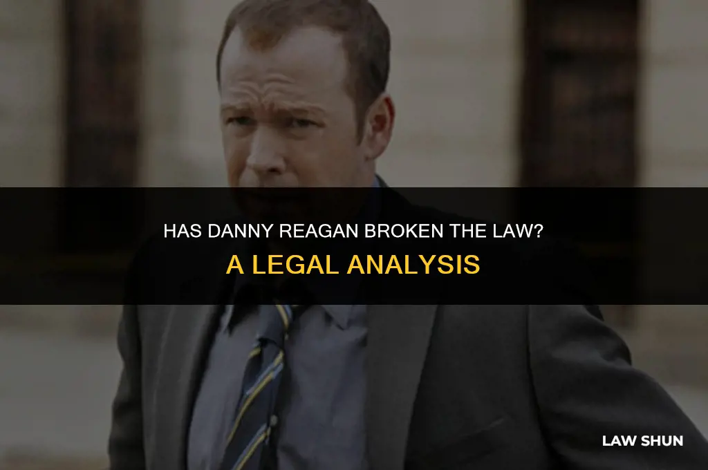 has danny reagan broke the law