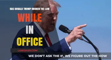 Has Donald Trump Violated Laws During His Presidential Tenure?