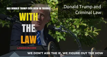 Donald Trump's Legal Battles: A History of Legal Troubles and Scandals
