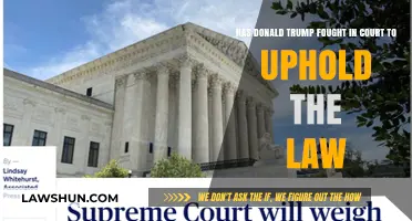 Trump's Legal Battles: Upholding the Law or Political Maneuvering?