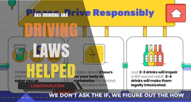 Has Drinking and Driving Laws Helped" is a topic that can be approached from various angles, focusing on the impact, effectiveness, and potential areas for improvement of such laws. Here are three blog title suggestions that are concise yet informative