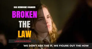 Has Hermione Granger Broken the Law?