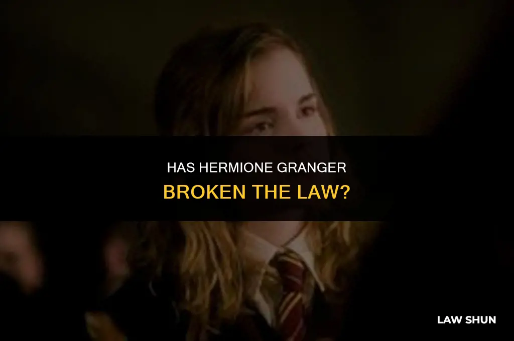 has hermione granger broken the law