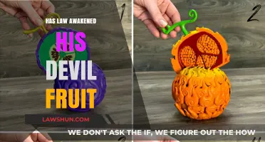 Has Law Awakened His Devil Fruit: A Deep Dive into One Piece's Latest Arc