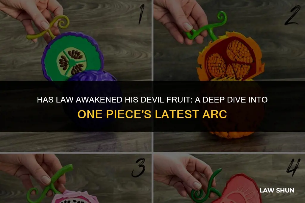 has law awakened his devil fruit