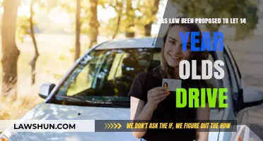Proposed Law: Allowing 14-Year-Olds to Drive – A Good Idea?