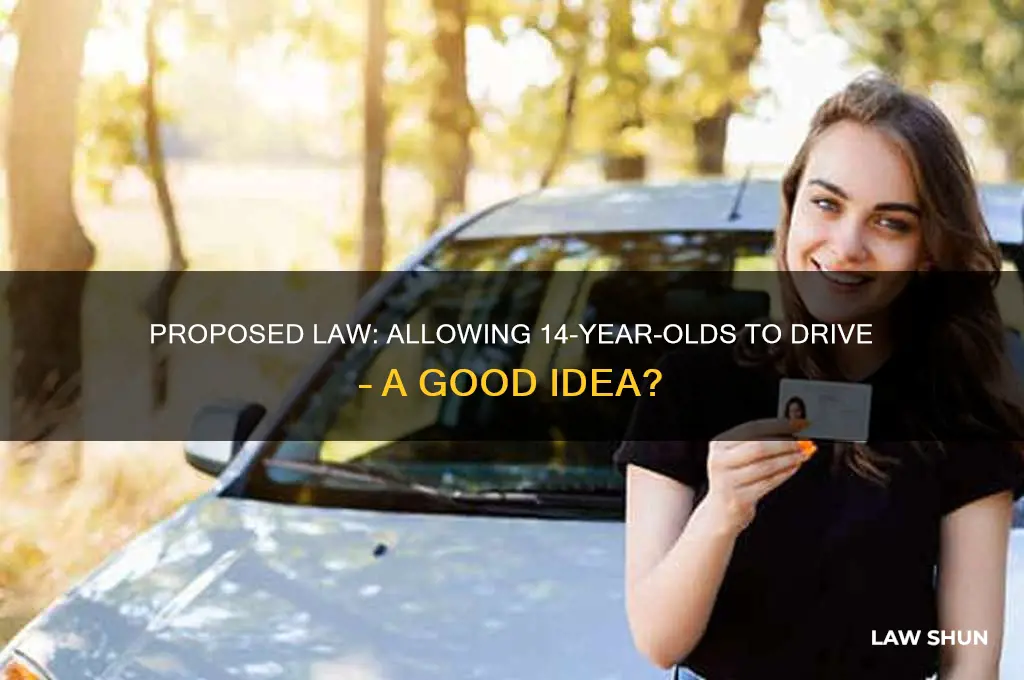 has law been proposed to let 14 year olds drive