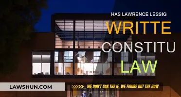 Lessig's Legal Mind: Exploring Constitutional Law