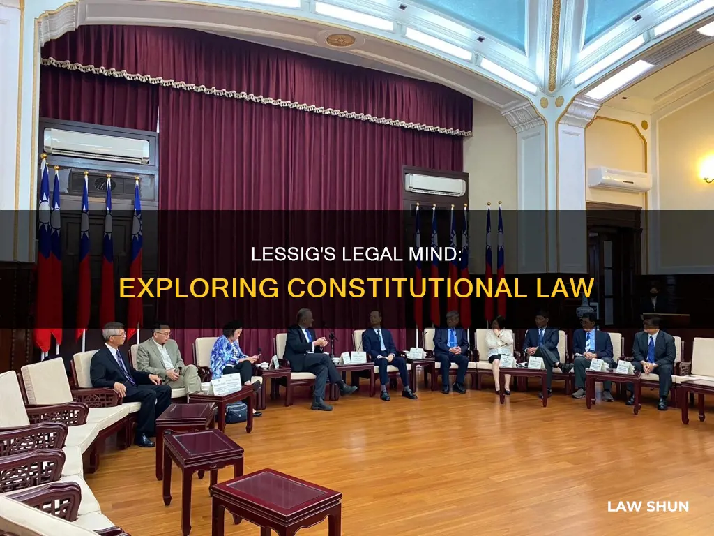 has lawrence lessig written constitutional law