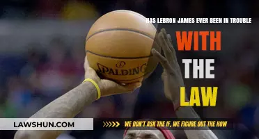 Has LeBron James Faced Legal Issues? Examining His Record
