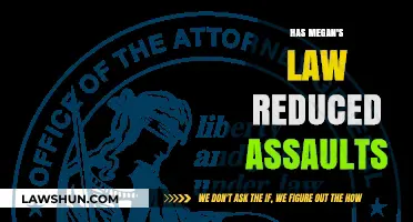 Has Megan's Law Reduced Assaults: A Critical Examination