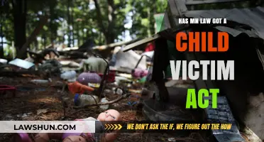 Minnesota's Child Victim Act: Protecting Survivors and Extending Justice